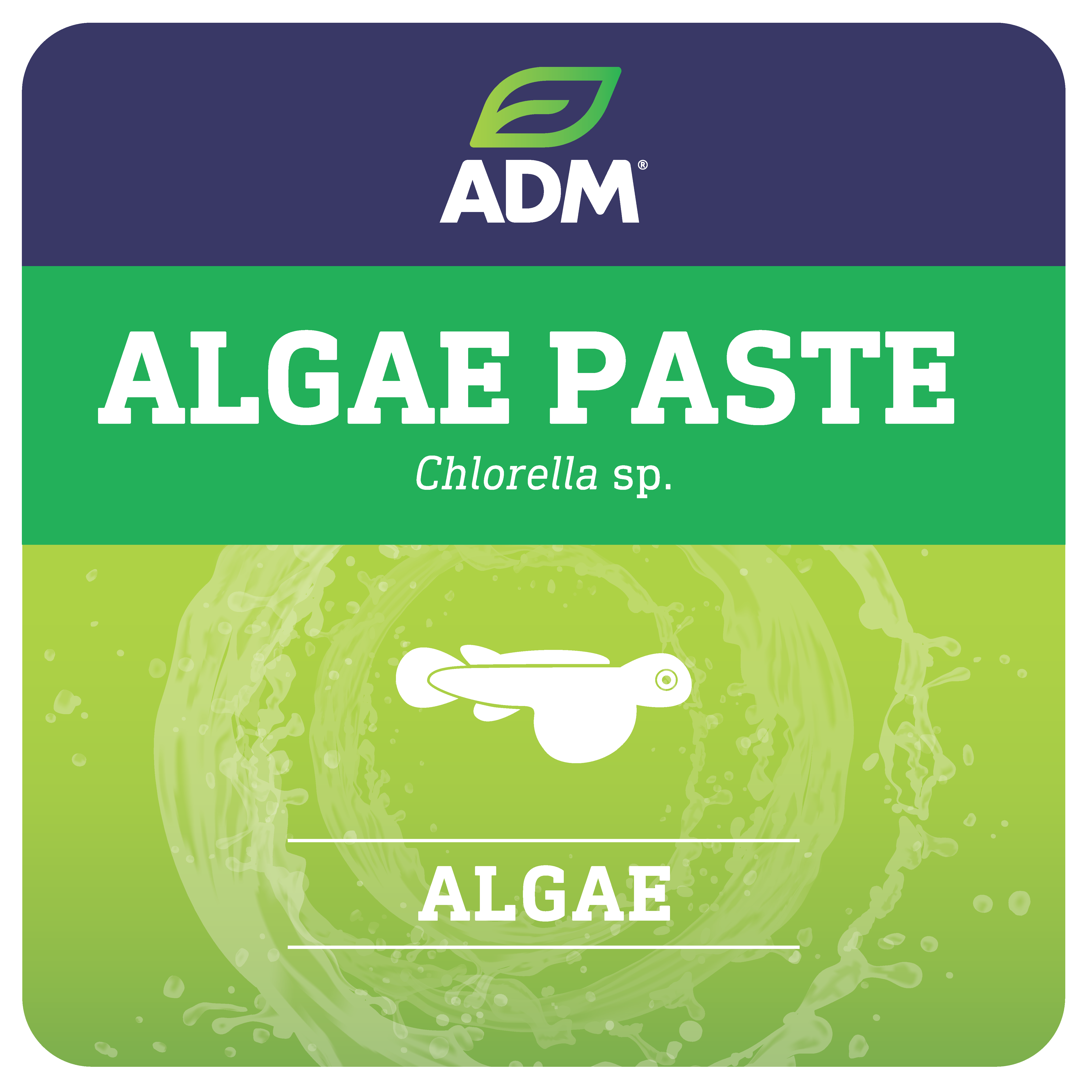 ALGAE PASTE