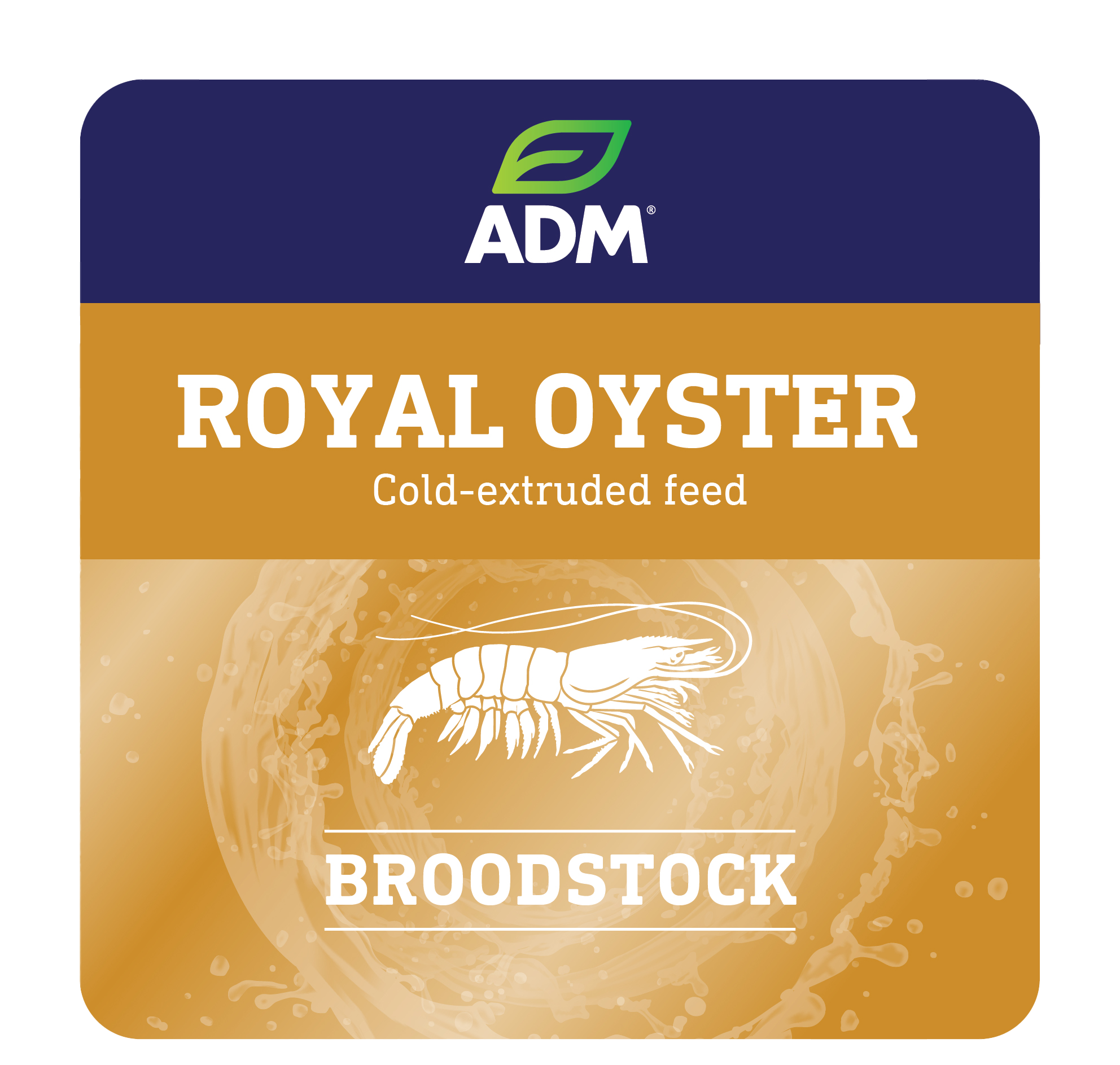 ROYAL OYSTER